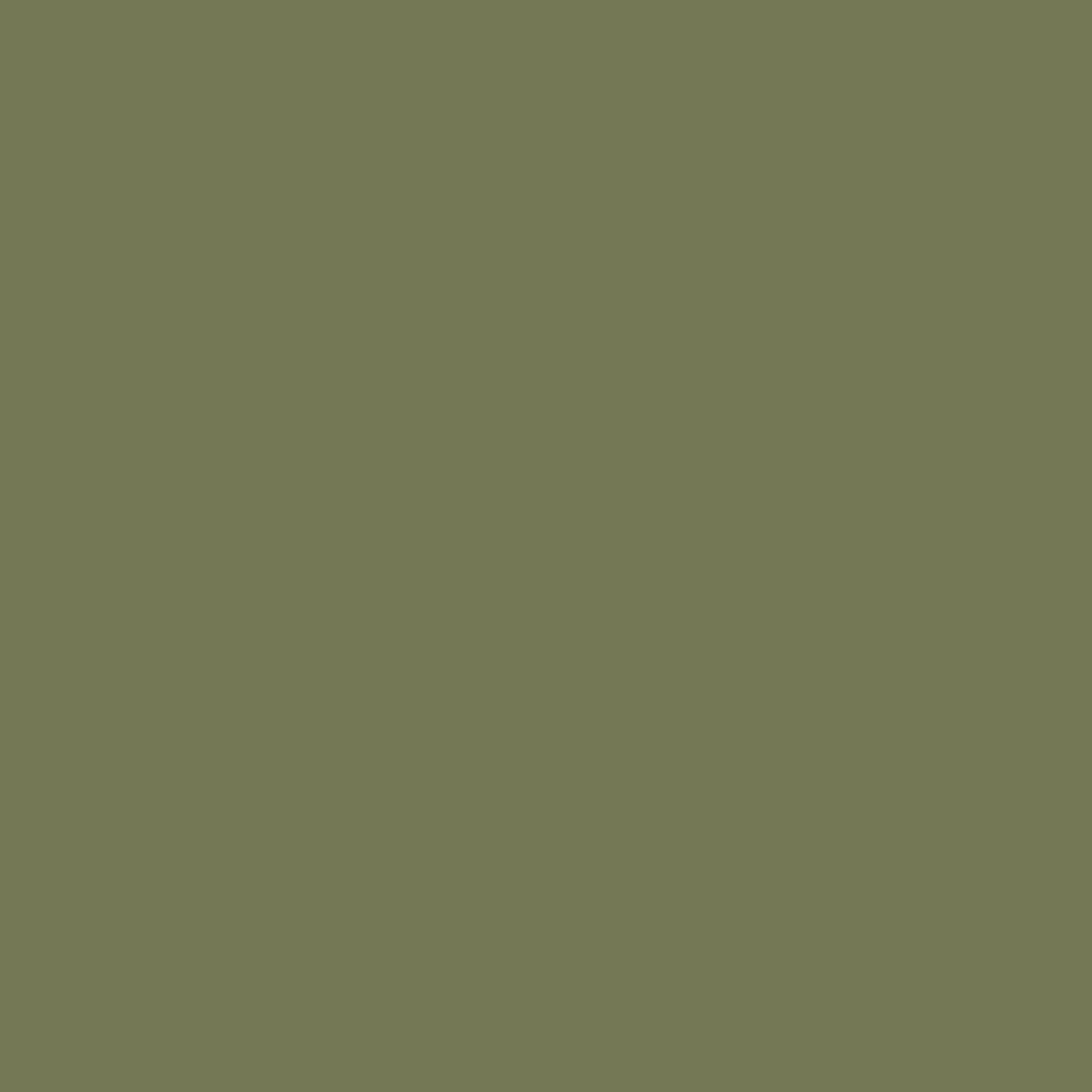 638741994614585547_VERDE-OLIVA.jpg