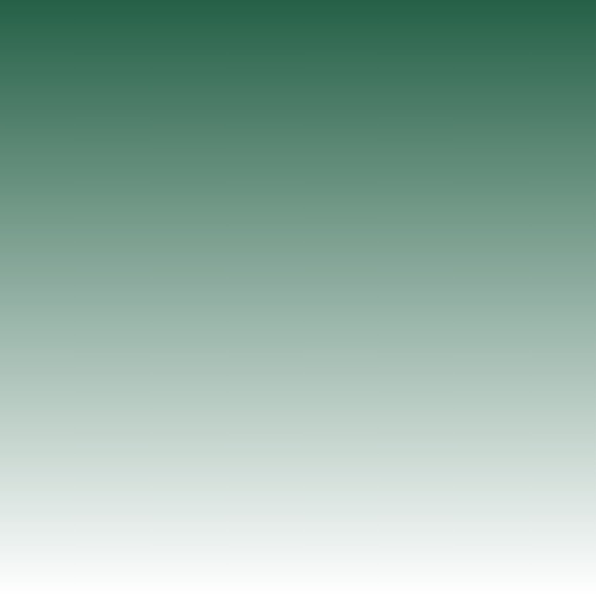 638832711657885579_VERDE-SCURO-SFUMATO.jpg